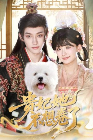 贵妃她不想卷了 (2025) poster