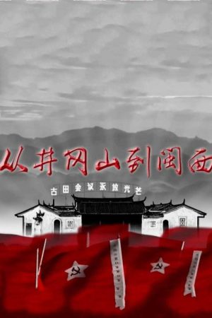 从井冈山到闽西 (2019) poster