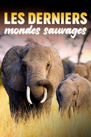 Les Derniers Mondes Sauvages (2025) poster