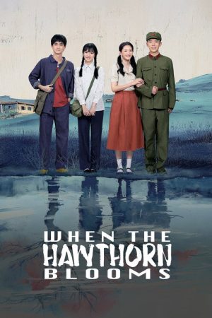 When the Hawthorn Blooms (2025) poster