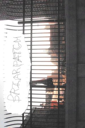 Briarpatch (2019) poster