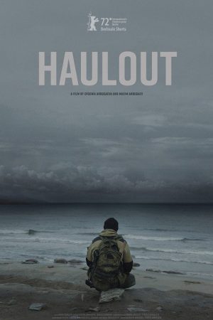 Haulout (2024) poster