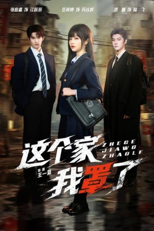 这个家我罩了 (2026) poster