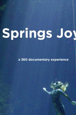 Springs Joy (2021) poster