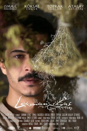 Lokman İlyas (2016) poster