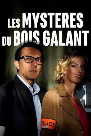 Murder In Rochefort (2019) poster