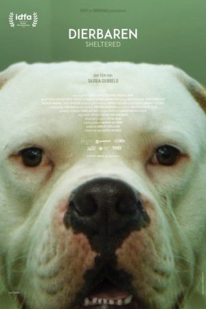 Sheltered (2020) poster