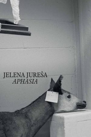 Aphasia (2019) poster