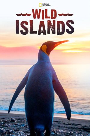 Wild Islands (2016) poster