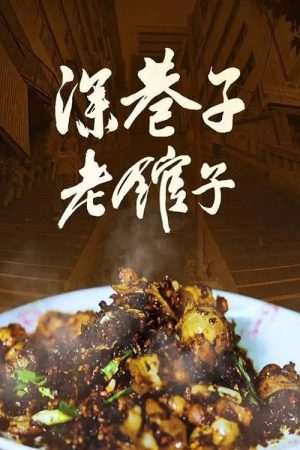 深巷子，老馆子 (2026) poster