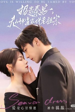 报告秦总, 夫人她是古代老祖宗 (2025) poster