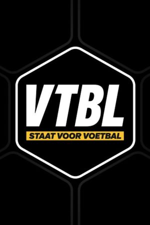 VTBL (2019) poster