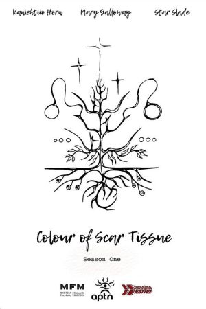 Colour of Scar Tissue (2018) poster