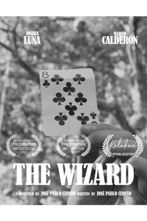 The Wizard (2022) poster