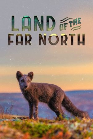 Naturen længst mod nord (2021) poster