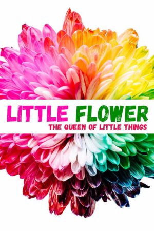Little Flower (2019) poster