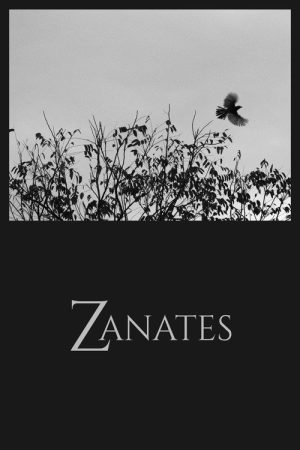 Zanates (2024) poster
