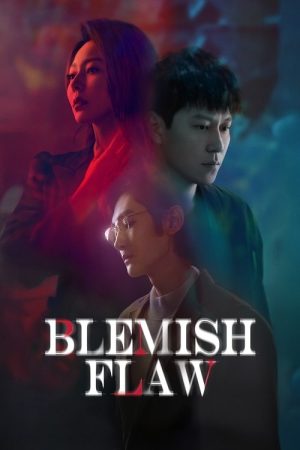 Blemish Flaw (2025) poster