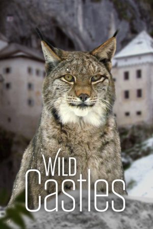 Wild Castles (2017) poster