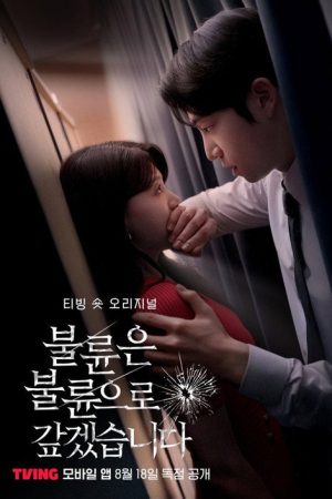 I Will Repay Infidelity with Infidelity (2025) poster