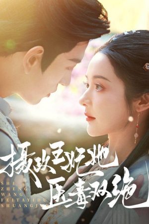 She Zheng Wang Fei Ta Yi Du Shuang Jue (2025) poster