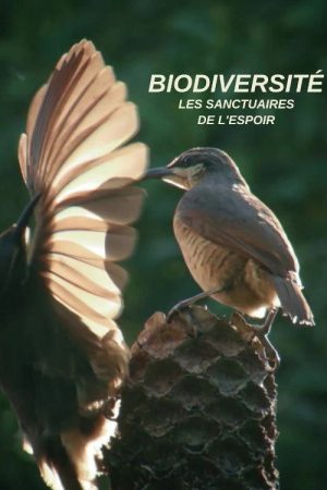 Biodiversité : les sanctuaires de l’espoir (2018) poster