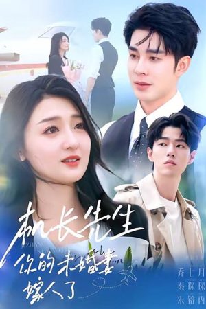 机长先生，你的未婚妻嫁人了 (2025) poster
