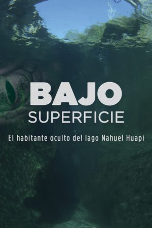 Bajo superficie (2022) poster