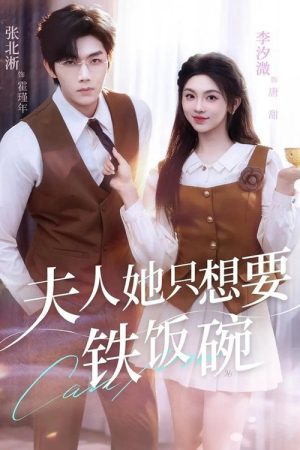 夫人她只想要铁饭碗 (2025) poster
