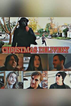 Christmas Delivery (2020) poster