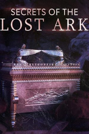 Secrets of the Lost Ark (2021) poster