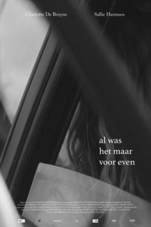If Only for a Moment (2017) poster