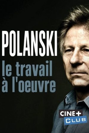 Polanski, le travail à l’oeuvre (2019) poster