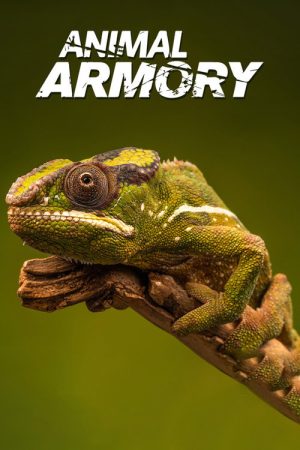 Animal’s Armory (2016) poster