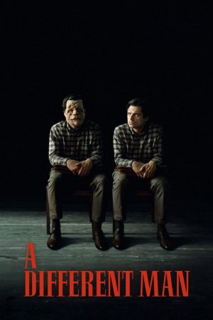 A Different Man (2024) poster