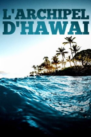 L’archipel d’Hawaï (2023) poster