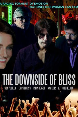 The Downside of Bliss (2020) poster