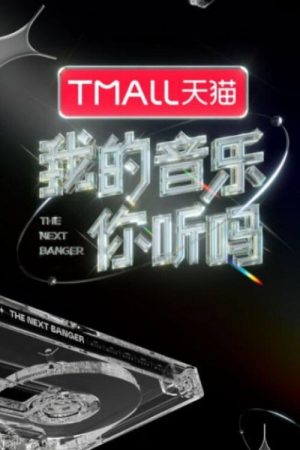 我的音乐你听吗 (2021) poster