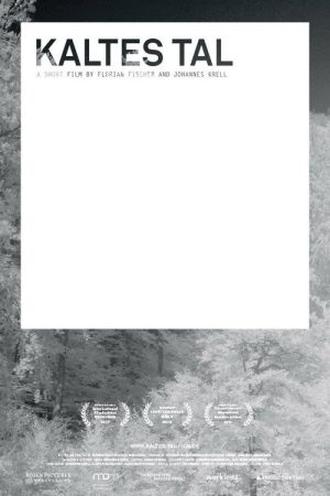 Kaltes Tal (2016) poster