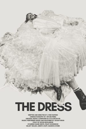 The Dress (2026) poster