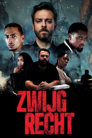 Zwijgrecht (2025) poster