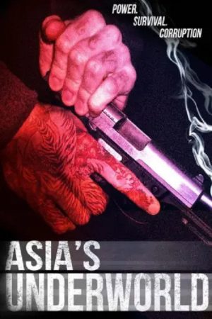 东南亚阴暗面 (2018) poster