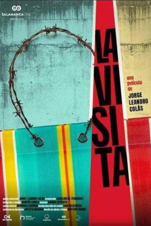 La visita (2019) poster