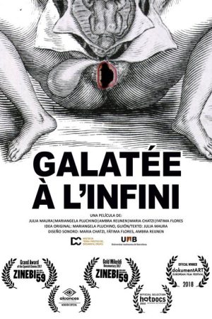 Infinite Galatea (2017) poster