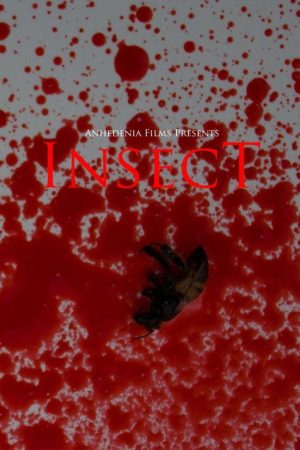 Insect (2017) poster