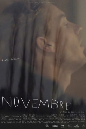November (2020) poster