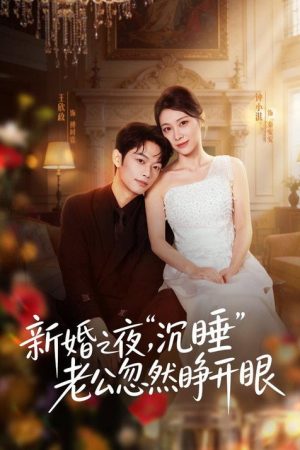 新婚之夜，“沉睡”老公忽然睁开眼 (2026) poster