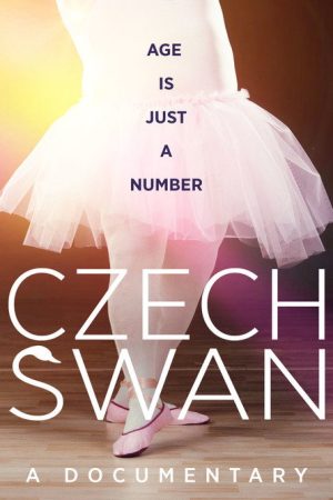 Czech Swan (2016) poster