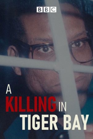 A Killing in Tiger Bay (2021) poster