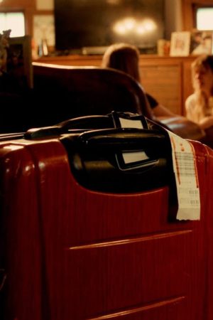 The Suitcase (2026) poster